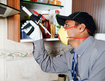 What is gel pest control method?